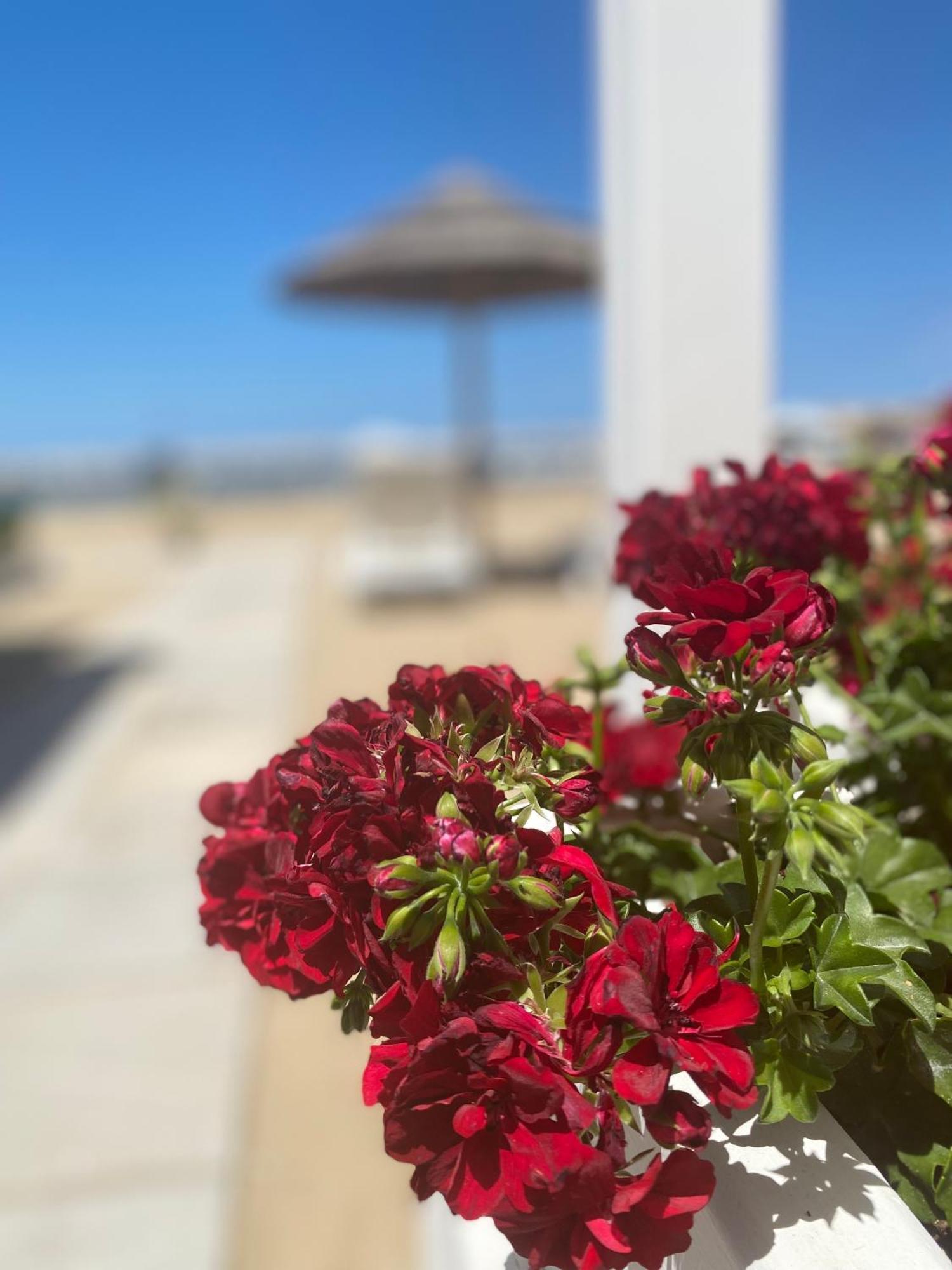 Marina Bay Beach Suites Peschici Dış mekan fotoğraf